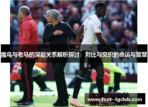 魔鸟与老马的深层关系解析探讨：对比与交织的命运与智慧